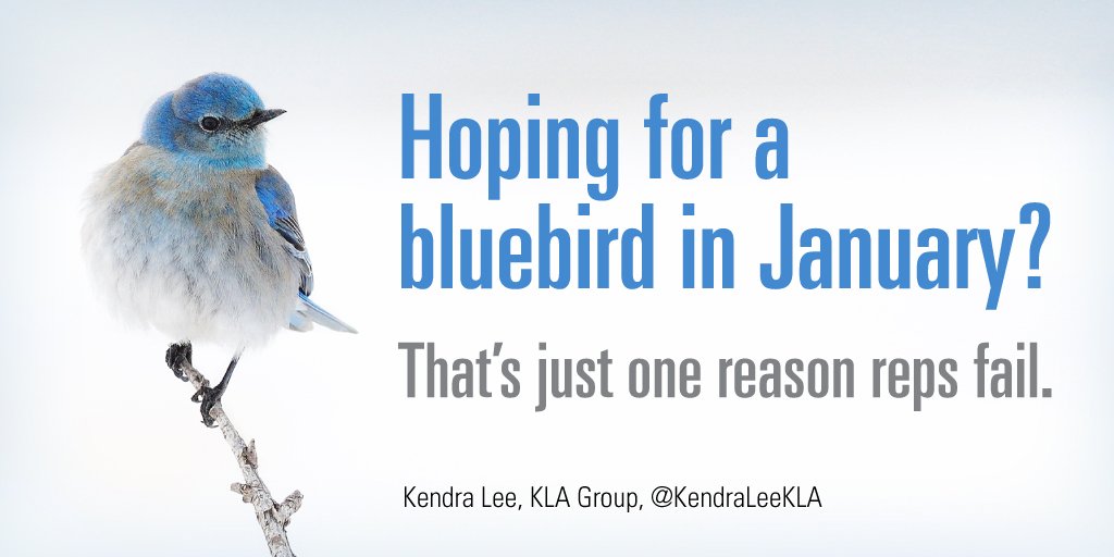 Blue Bird in January