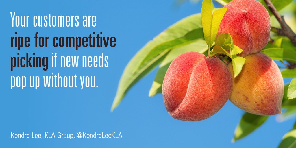 Ripe peaches hanging on a tree branch like unassuming customers competitors will call