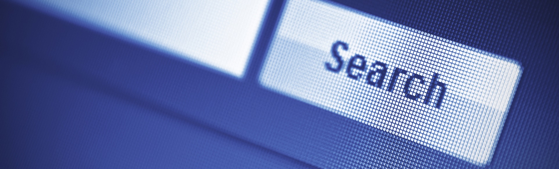seo consulting